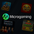 Microgaming žaidimų kūrėjas